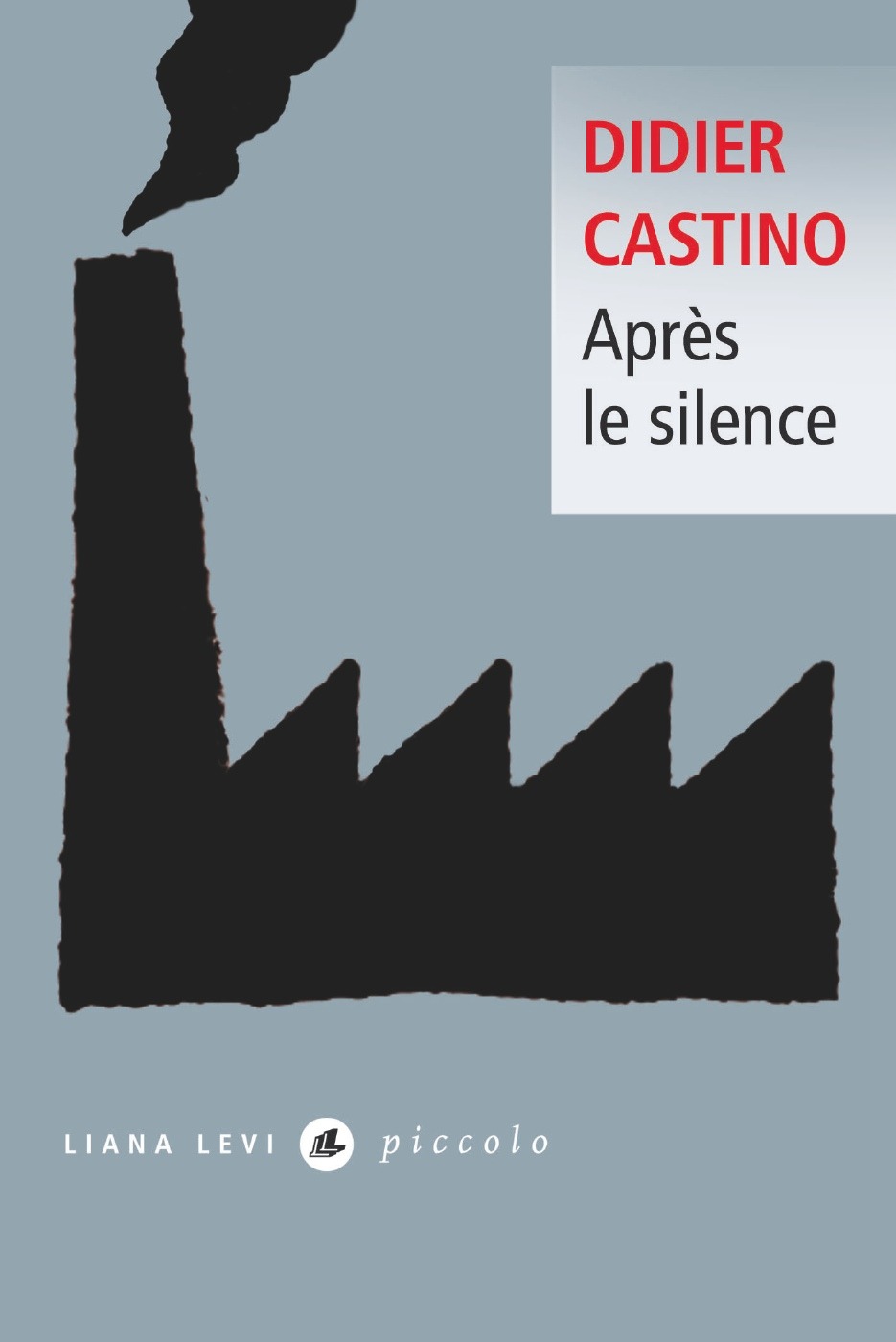 Après le silence Didier Castino • Éditions Liana Levi