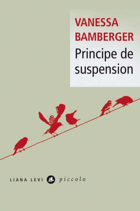 Principe de suspension