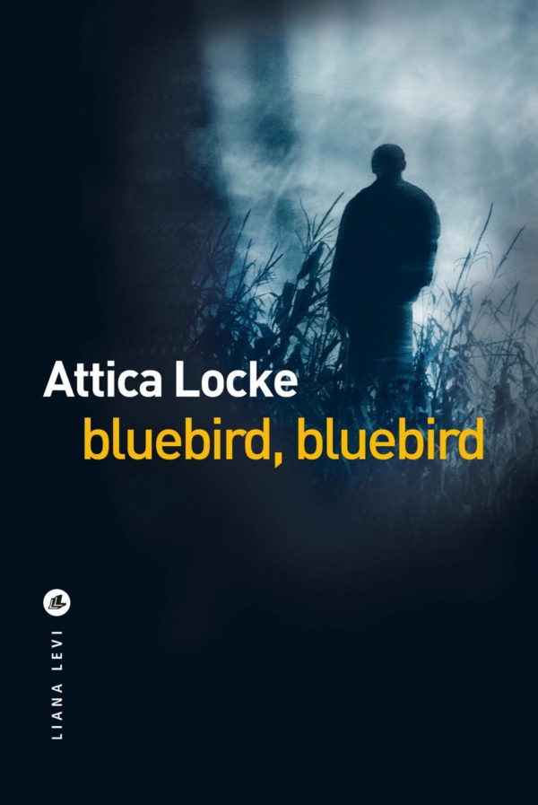 Bluebird, bluebird